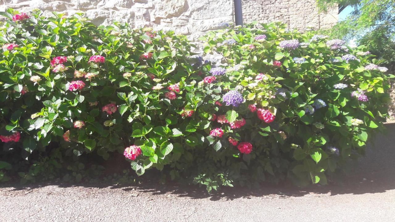 La Source Gilhodes Castelnau-de-Mandailles Exterior foto